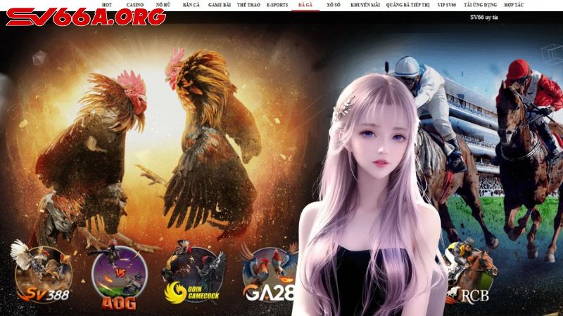 Đá gà SV66: Đấu trường gà cựa sắt, cược trực tuyến chuẩn quốc tế